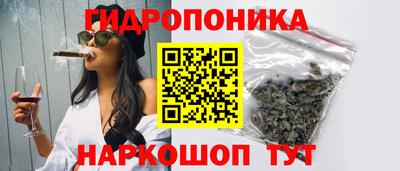 индика Будённовск