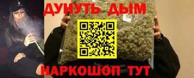 индика Будённовск