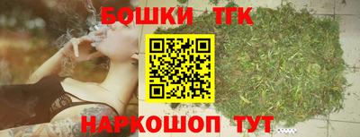 индика Будённовск