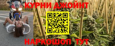 индика Будённовск