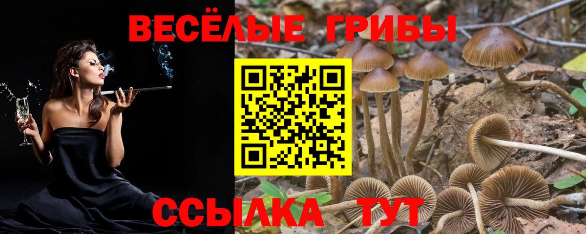 Галлюциногенные грибы Cubensis Кумертау